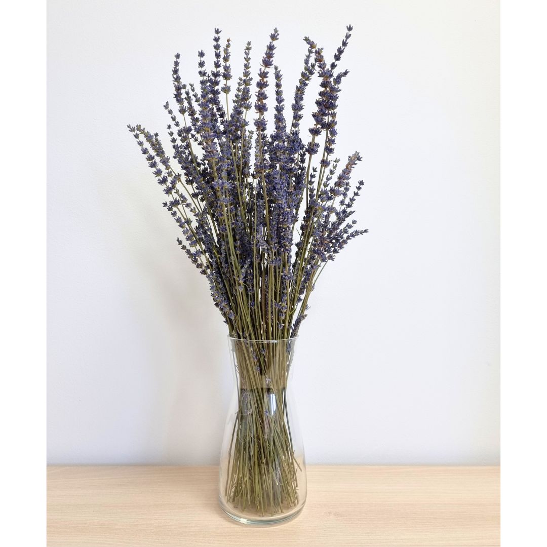 Ramo Lavanda natural (x4)