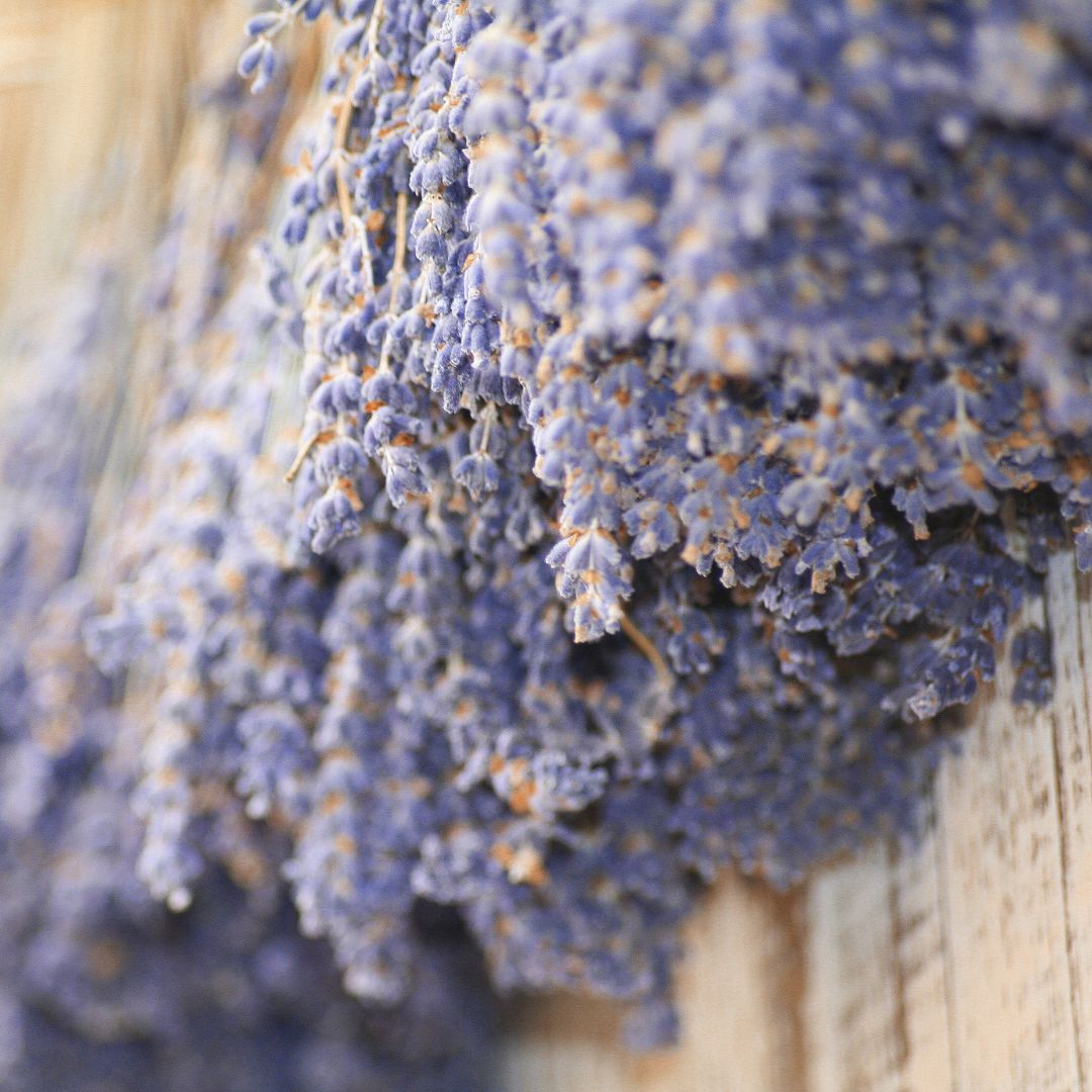 Ramo Lavanda natural (x4)