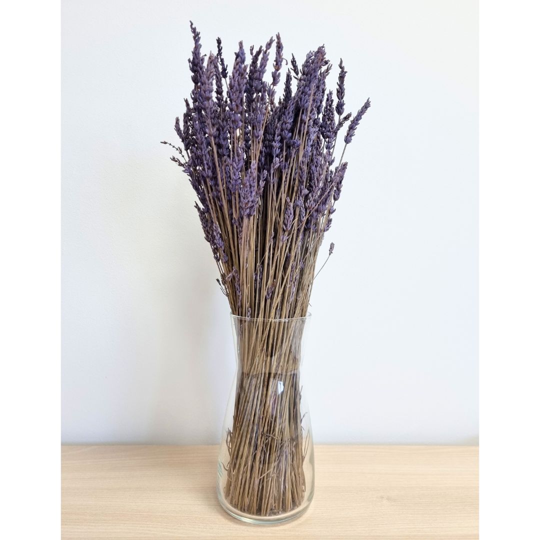 Ramo Lavanda preservada (x4)