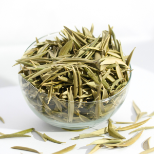 OLIVO hoja ecológica