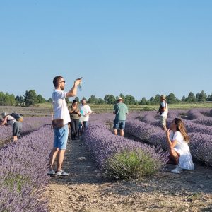 Visitas guiadas ENTRE CAMPOS DE LAVANDAS
