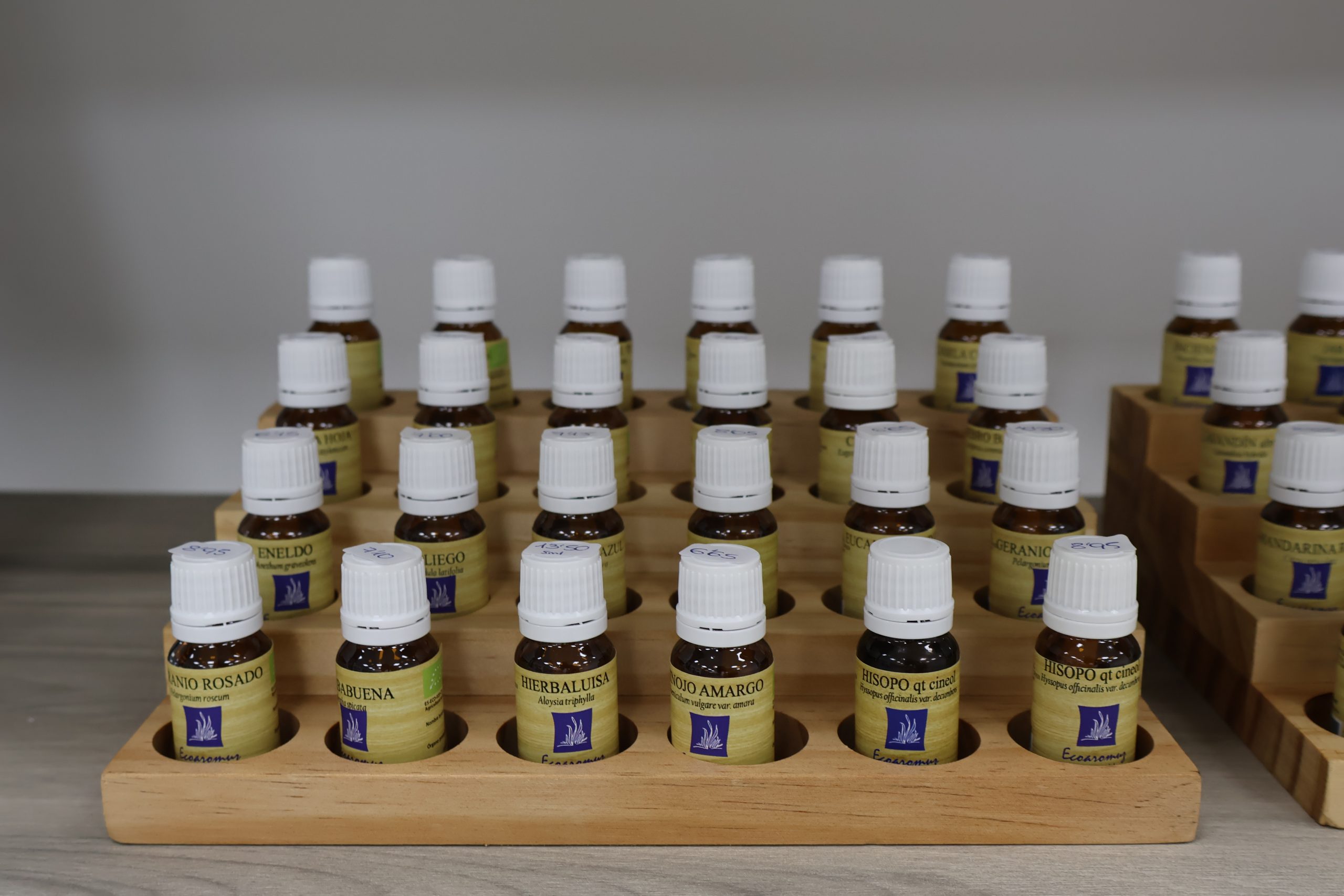 aceites esenciales: qué son y cuáles son sus propiedades